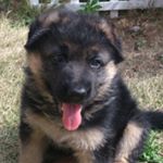 12750343_1744091925821156_1272598540_a