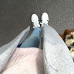 12519382_1702745513329400_350696310_a