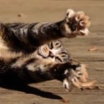 12479412_1729108810706321_730141581_a