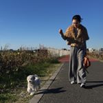 12751468_1540354902930254_1457005945_a