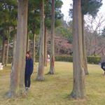 12917892_270979796569045_144230211_a