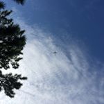 11918067_864067727024121_232356631_a