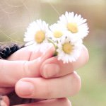 10431833_417876031696896_842541789_a