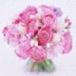 11906323_393233140883798_927541451_a