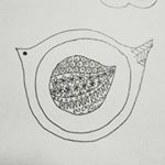 12063053_963761057030840_224848394_a