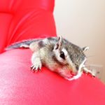 12568867_957980954249633_213663905_a