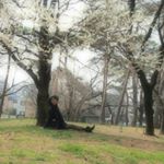 12822556_701726493303635_1585243244_a