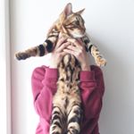 12917902_1691725474435804_1682347489_a