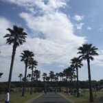 11376412_1456383117711671_347223607_a