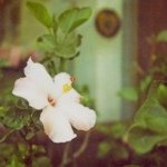 11356941_1013873595291430_1608856463_a