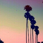 11909249_869833043053024_1857849493_a