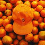 12547532_1635506100057260_220874600_a