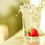 13113708_1106776739373311_1339882435_a