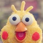 13102500_276684812672059_2029994770_a