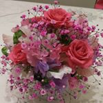 11296893_709664009139771_1945808090_a