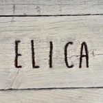 12383515_518823211634053_947860540_a