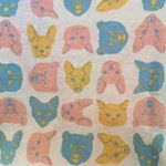 11931107_1811515229074925_272334180_a