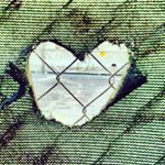 12717124_781323941973659_590342056_a