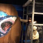 12545333_991522470920097_928695729_a