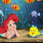 12750239_550782221759526_2089471952_a