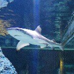 10369526_1419276665011566_829831176_a