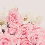 12677485_203170276710039_1807779285_a