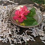 10817728_498967276976596_1057494559_a