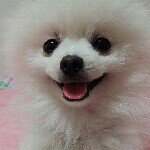 11282610_140790202925005_298783469_a