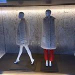 12407341_173800332980559_466060350_a