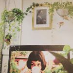 10817803_212976135724329_1502724156_a