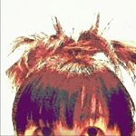 13129237_943777502401516_632112653_a