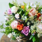 12965050_1748383008725835_602857843_a