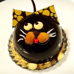 12105020_489476751258283_1637037821_a