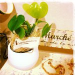 891397_562877970514866_441484172_a