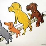 11875557_442540855933751_1295115456_a