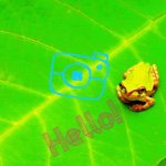 11283323_394210587429013_480841886_a