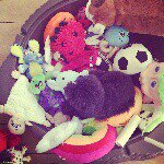 11251180_1522395571385561_903218624_a