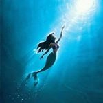 10311247_1058408640886484_877672271_a