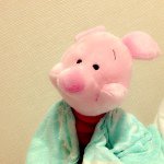 11377683_368524650013198_220397056_a