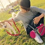 12816985_1036058416465346_786577304_a