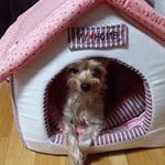 13151008_1563491270617943_2017043000_a