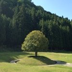 10616925_930489270299473_131538423_a