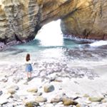 12940768_1579922185632176_1265763923_a