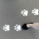 12328048_239776636374002_910155711_a