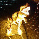 11111336_610637282402819_1557262002_a