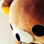 11266516_656154747870404_14334964_a