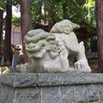 11918007_498930796949452_424541609_a