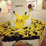 12826246_208474969514366_1934934850_a