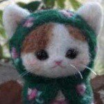 11378619_1636991793253764_975828377_a