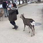 12543347_1117633701582359_1891682267_a